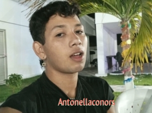 Antonellaconors