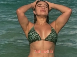 Antonellla