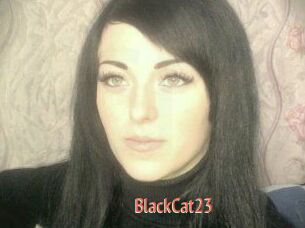 BlackCat23