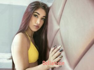 Bellarosse