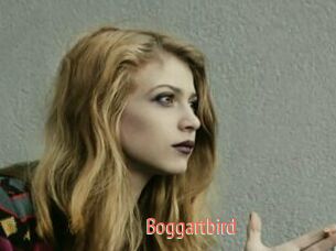 Boggartbird