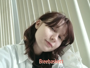 Breebaskett