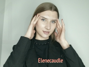 Elenecaudle