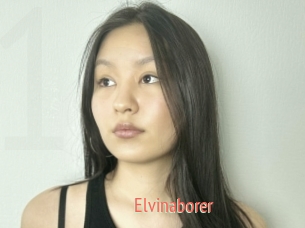 Elvinaborer