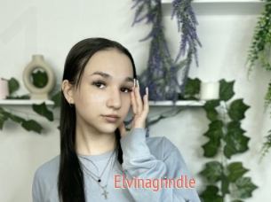 Elvinagrindle