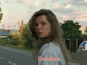 Elwinebuss