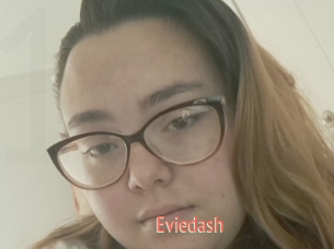 Eviedash