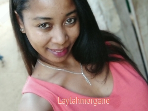 Laylahmorgane