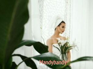 Mandybandy