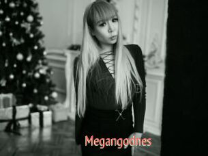 Megangodnes