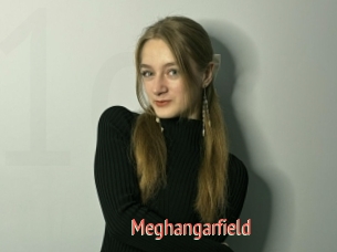 Meghangarfield