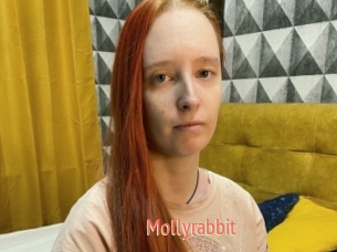 Mollyrabbit