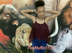 PinkMuffin3578