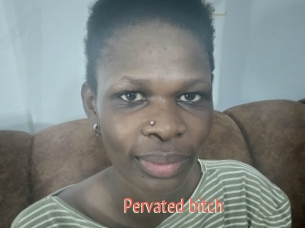 Pervated_bitch