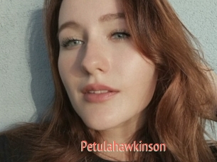 Petulahawkinson