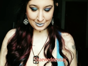 Shaewednesday