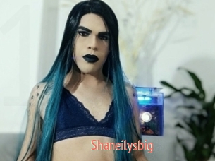 Shaneilysbig