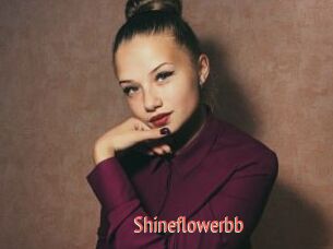 Shineflowerbb