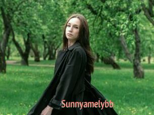 Sunnyamelybb