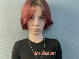 Udelehallett